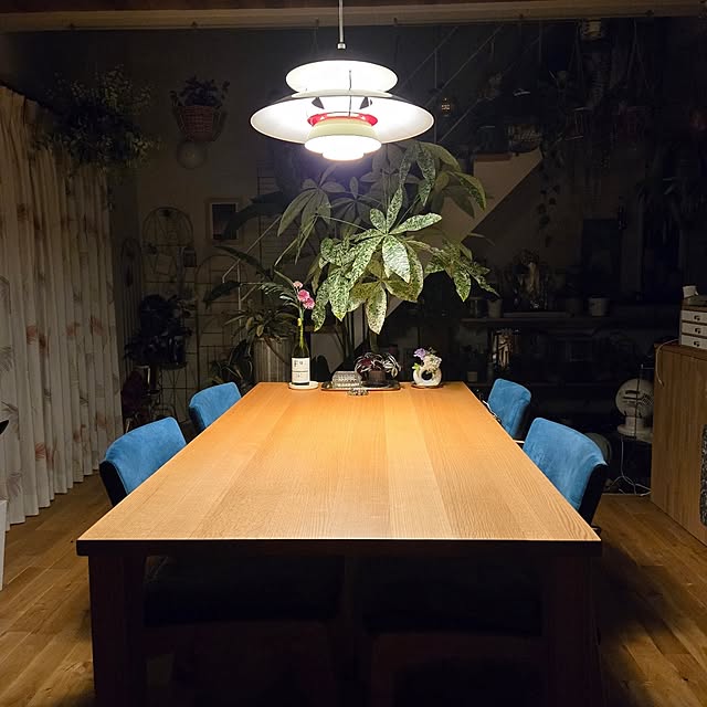 nonbiri_house_さんの部屋