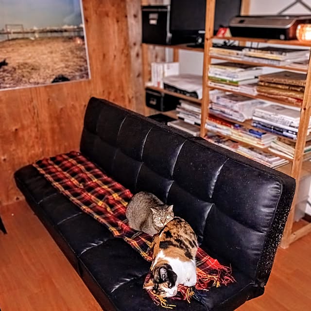 catloveさんの実例写真