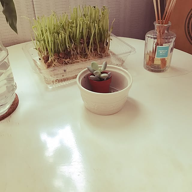 Jilva696さんの実例写真