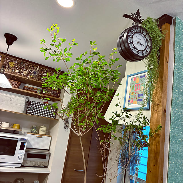 ayayayayaさんの部屋