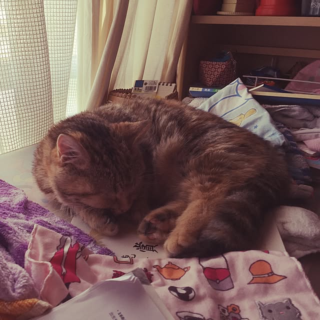 keibooさんの実例写真