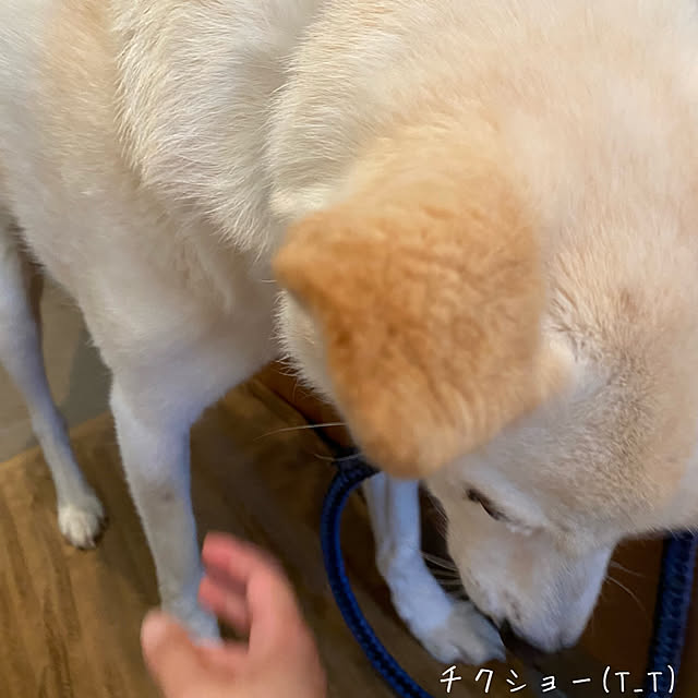 tanboさんの部屋