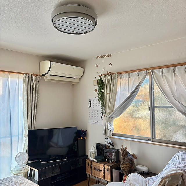 chiiさんの実例写真