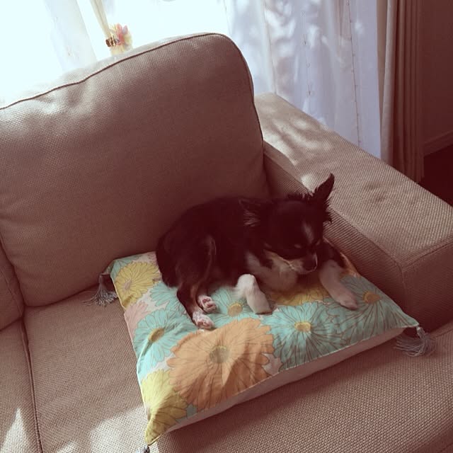 maronさんの実例写真