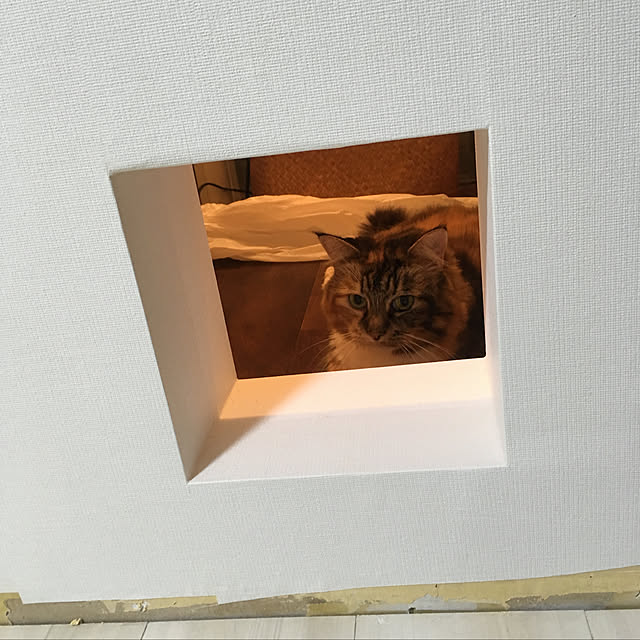 lilyambayさんの実例写真