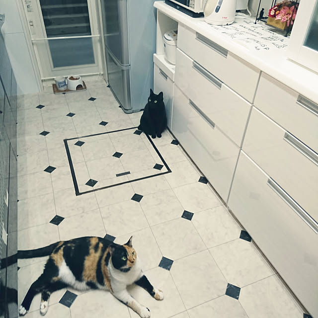 kuuaさんの実例写真