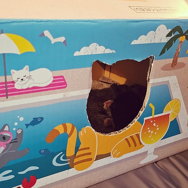 ymmtさんの実例写真