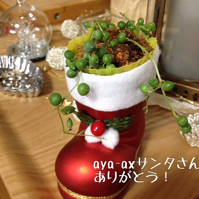 lovelinさんの実例写真