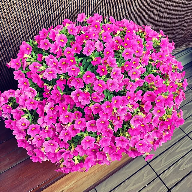 VERANDARJUNさんの実例写真