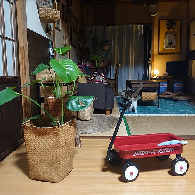 fukuさんの部屋