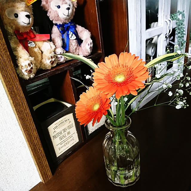 todorinkoさんの実例写真
