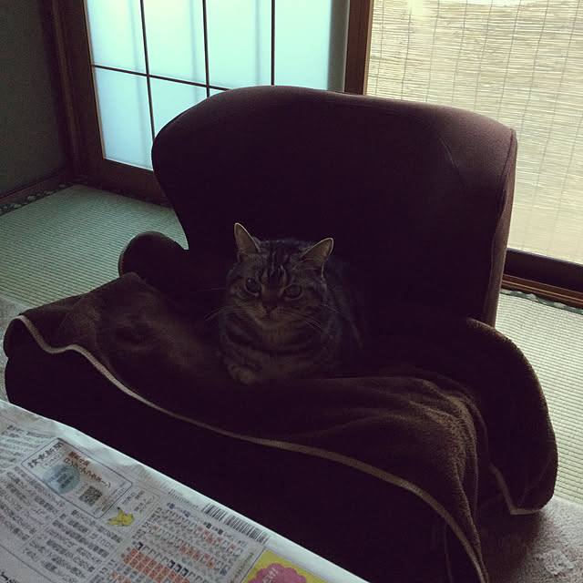 richanさんの実例写真