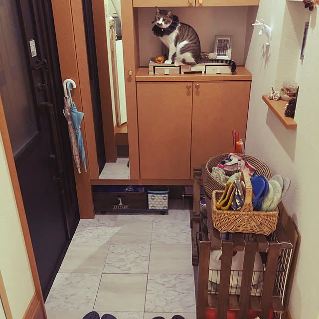jijiさんの実例写真