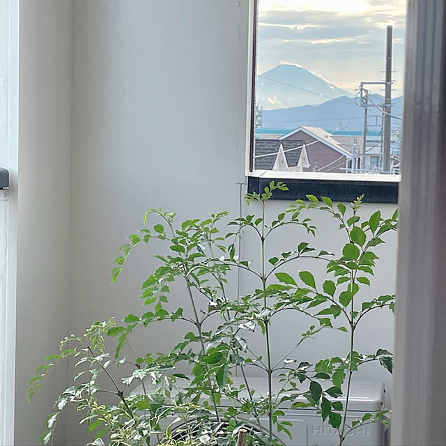 akoさんの実例写真