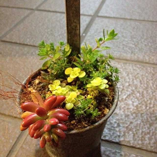 RumRaiginさんの実例写真