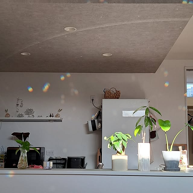 kiyomiさんの実例写真