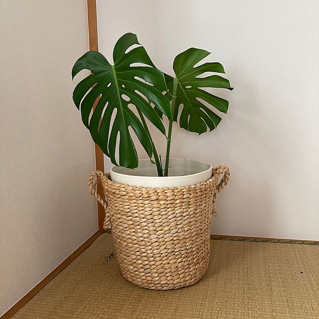 mamaさんの部屋
