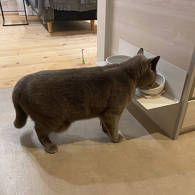 hachiさんの実例写真