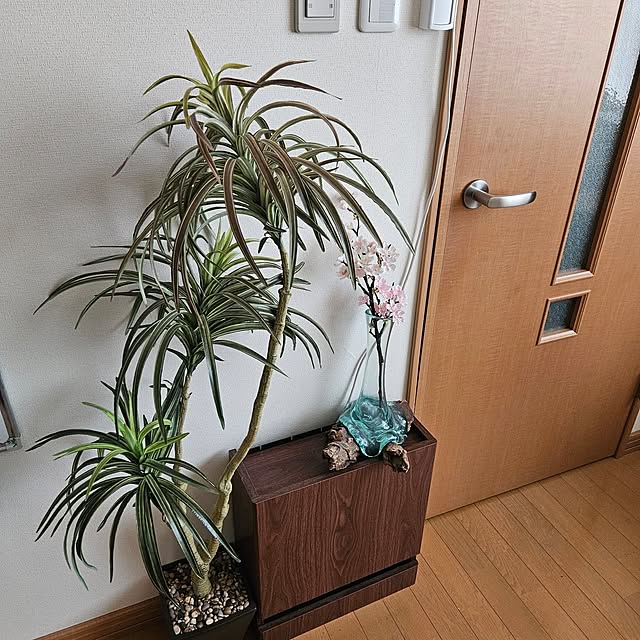 mogmogさんの実例写真