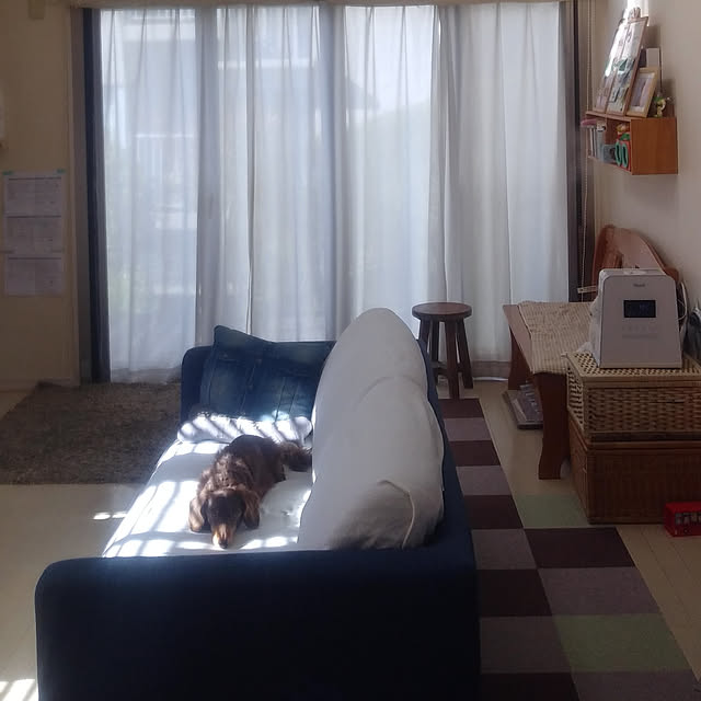 mapleさんの実例写真