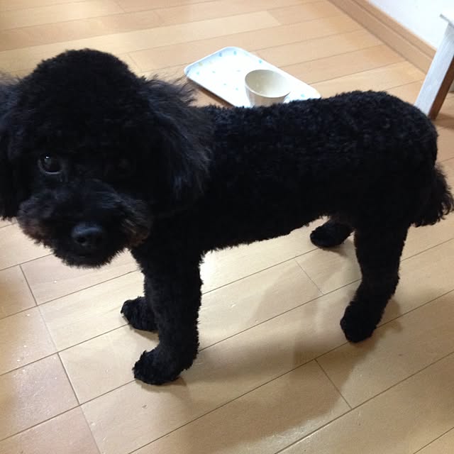 chikaさんの実例写真