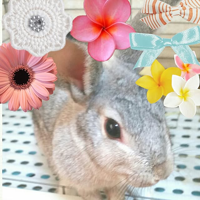 kuri34さんの実例写真