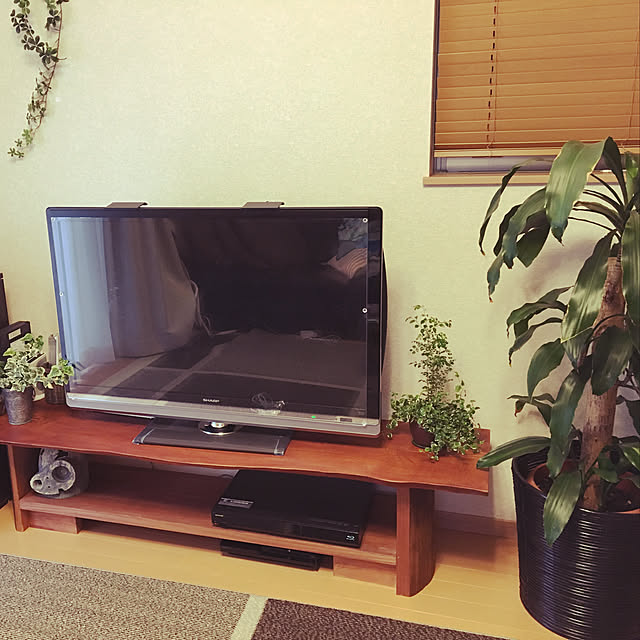 zeczecさんの実例写真