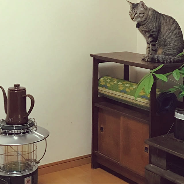 mikan161さんの実例写真