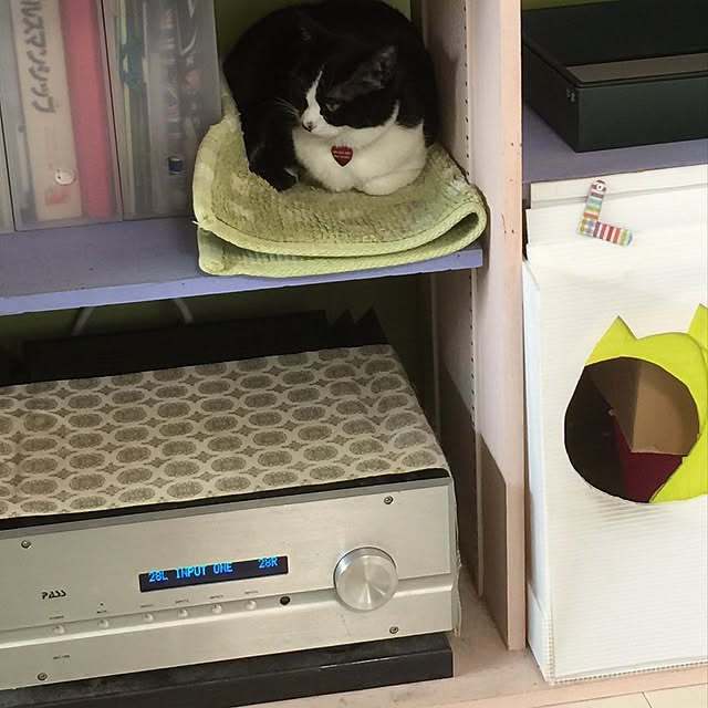 kimishigureさんの実例写真