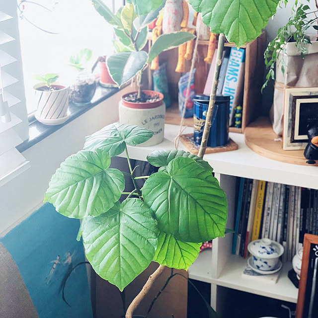 jzarcさんの実例写真