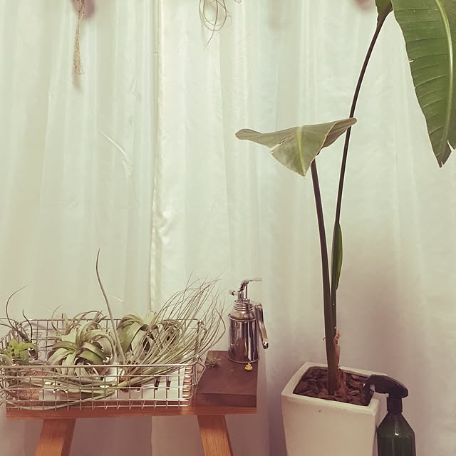 dddf10さんの実例写真