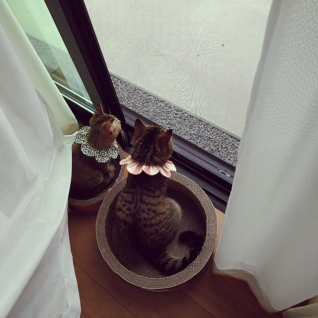 mochicoさんの実例写真