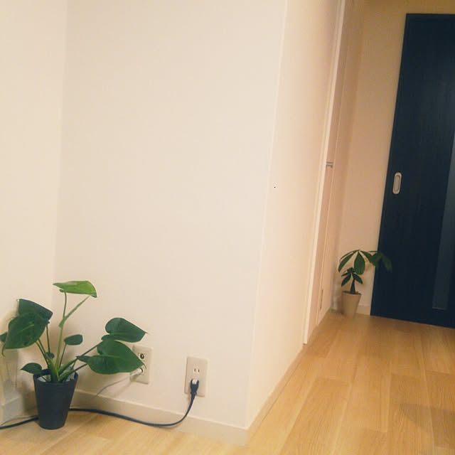 noguchiken0102さんの実例写真