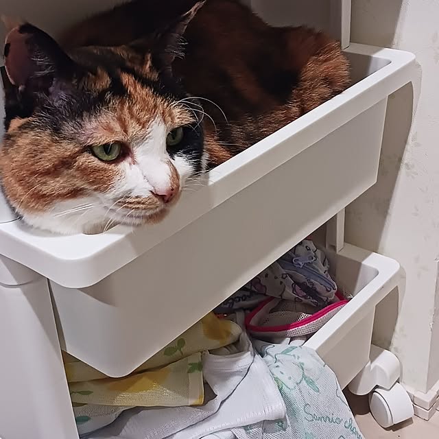 aiさんの実例写真
