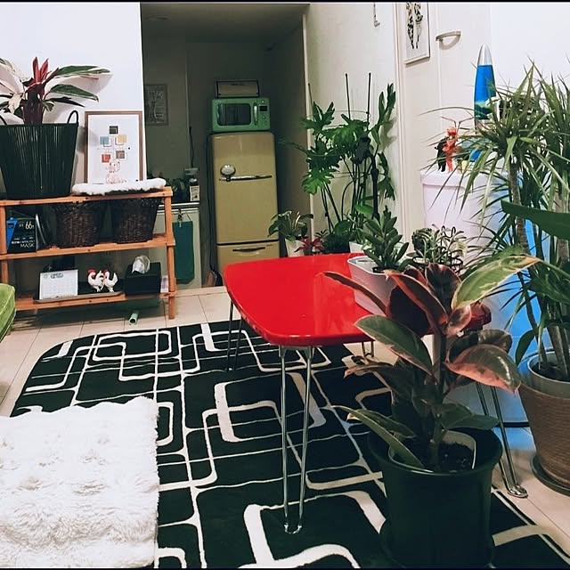 lovemid50sさんの実例写真