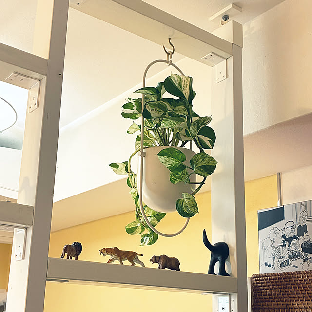 koshiregutyoさんの実例写真