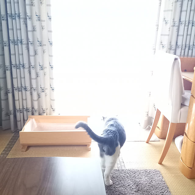 rhuさんの実例写真