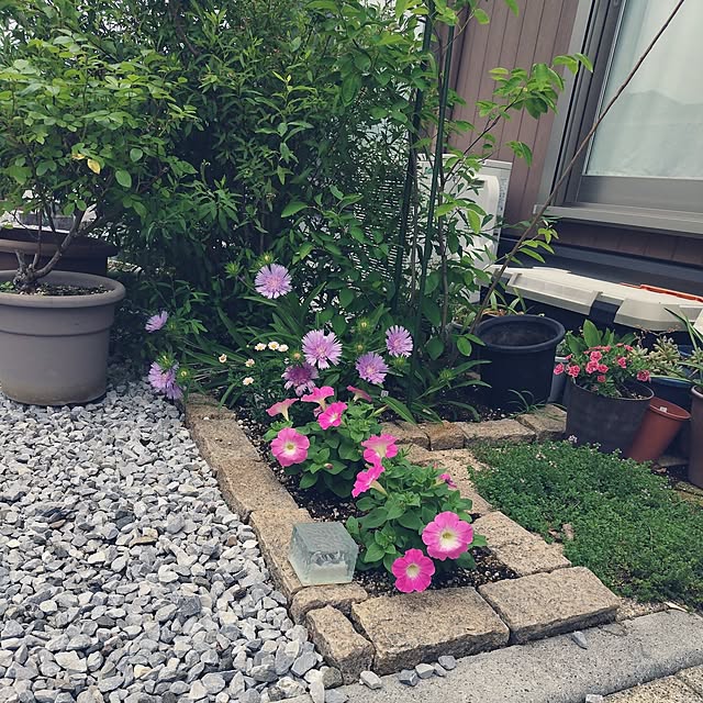 mutsuさんの部屋