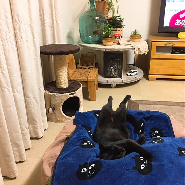 nanaさんの実例写真