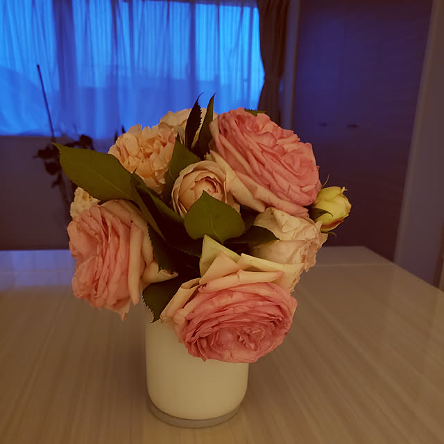 実例写真