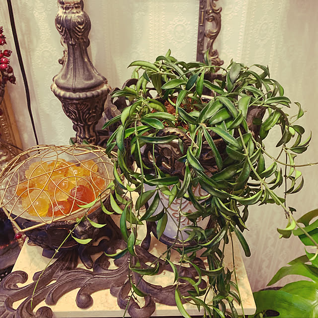 AYUKOさんの実例写真