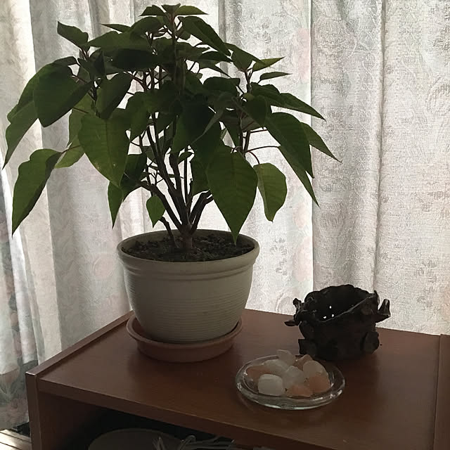 mamaさんの実例写真