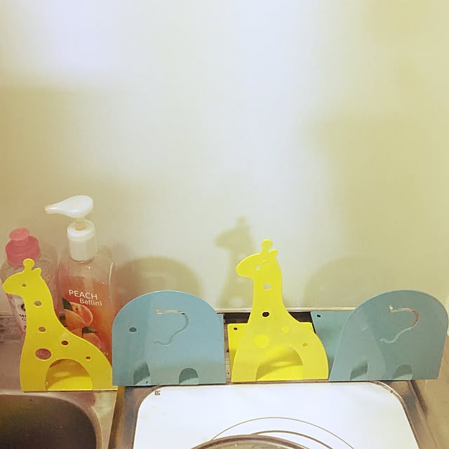 minikotan331さんの実例写真