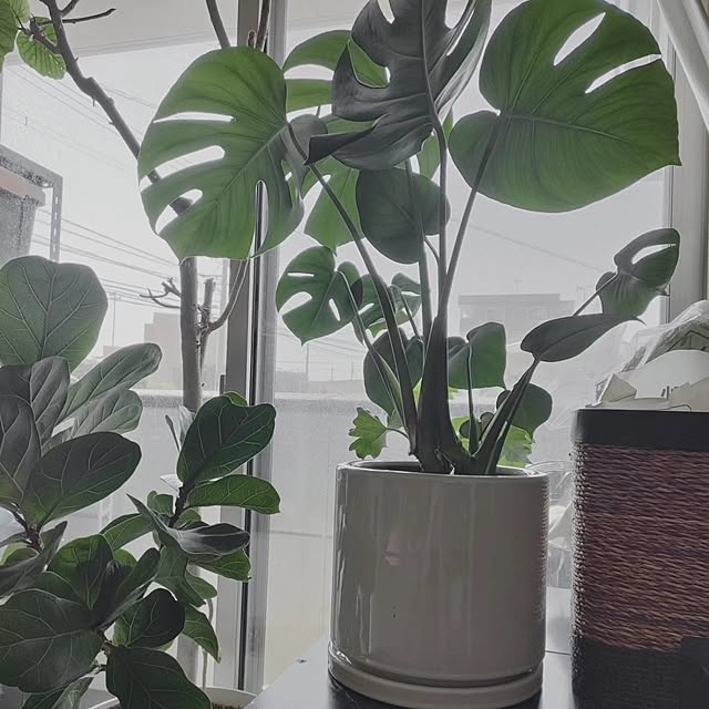 coco.Apartmanさんの部屋