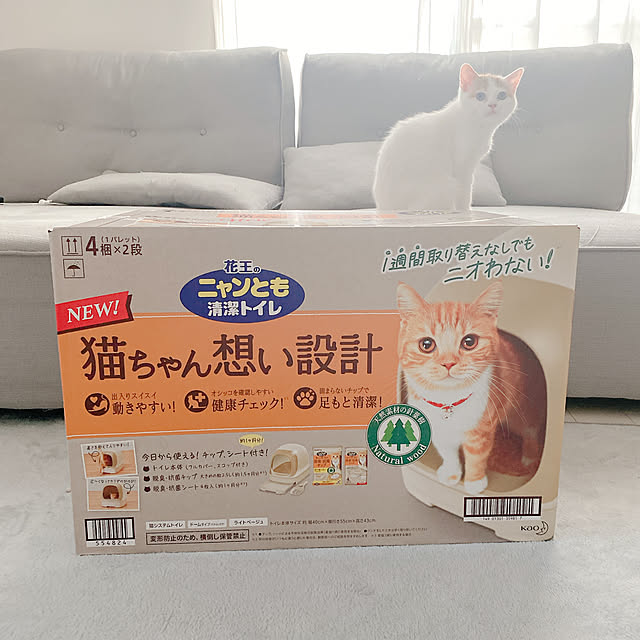 chamihomeさんの実例写真