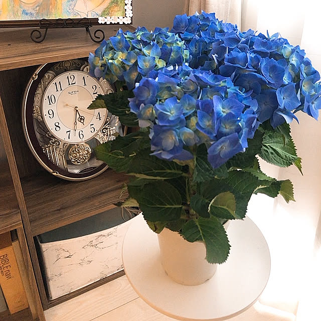 Hitomi.Kさんの実例写真