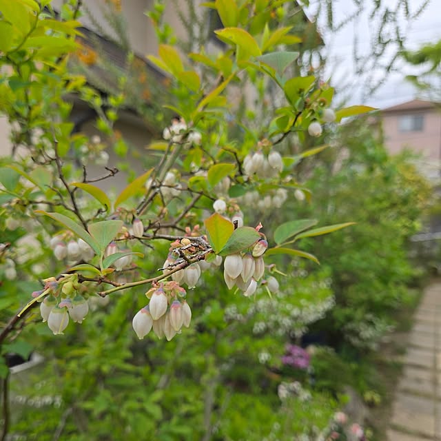 min_nimさんの部屋