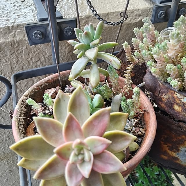 komikaoさんの実例写真