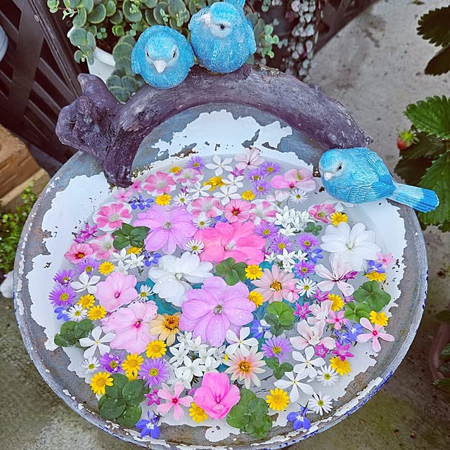 mocomocoさんの実例写真
