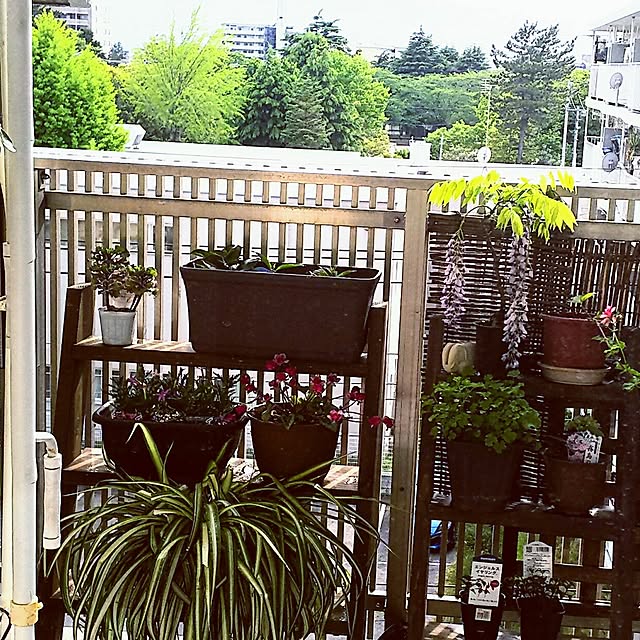 anago106さんの実例写真